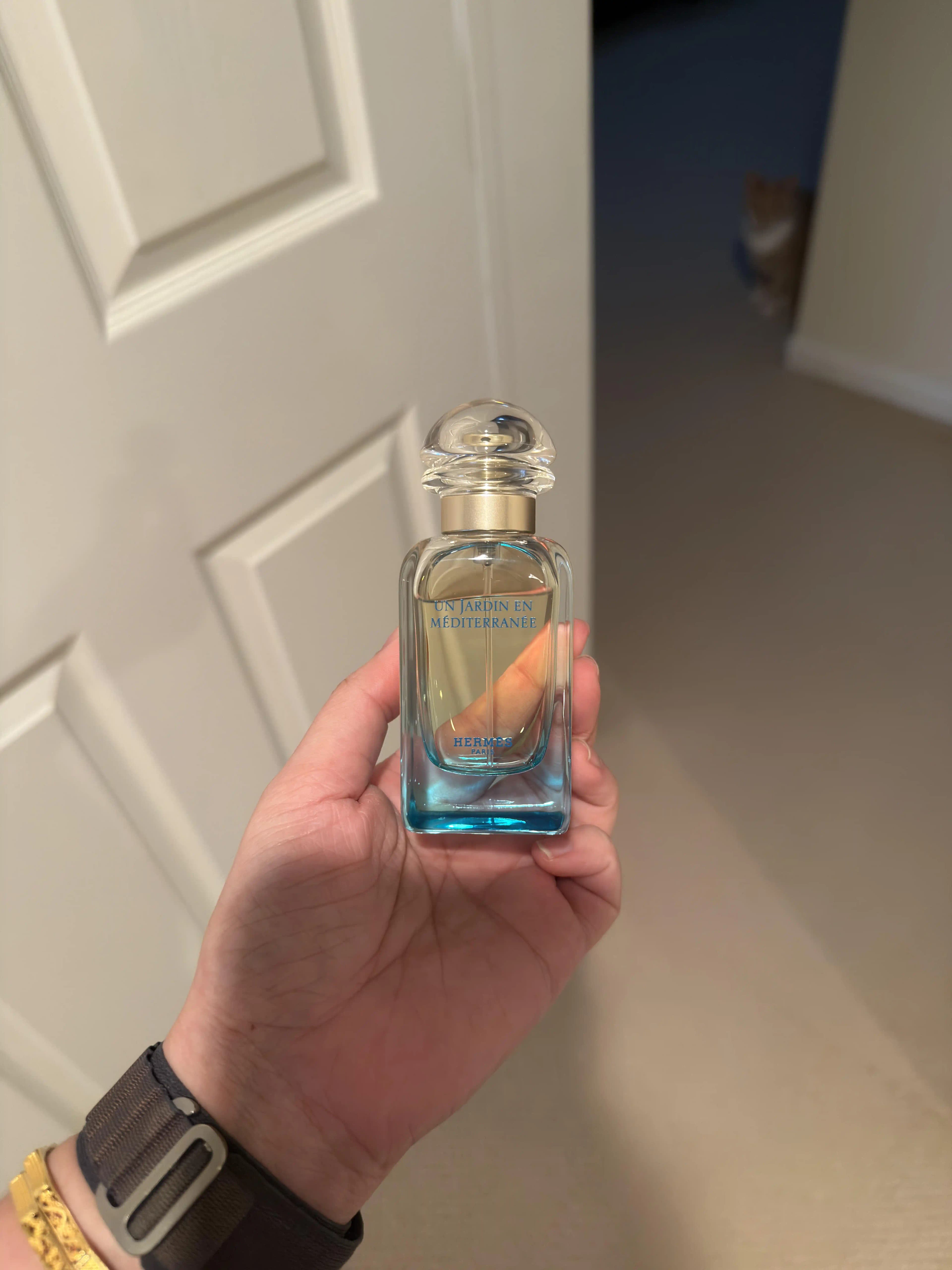 Hermès Un Jardin en Méditerranée Parfümü: Akdeniz Esintisi ve Doğal Ferahlık