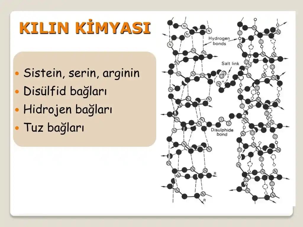 Saç İçindeki Kimyasal Bağların Onarımı ve Bağ Onarıcı Ürünlerin Etkinliği
