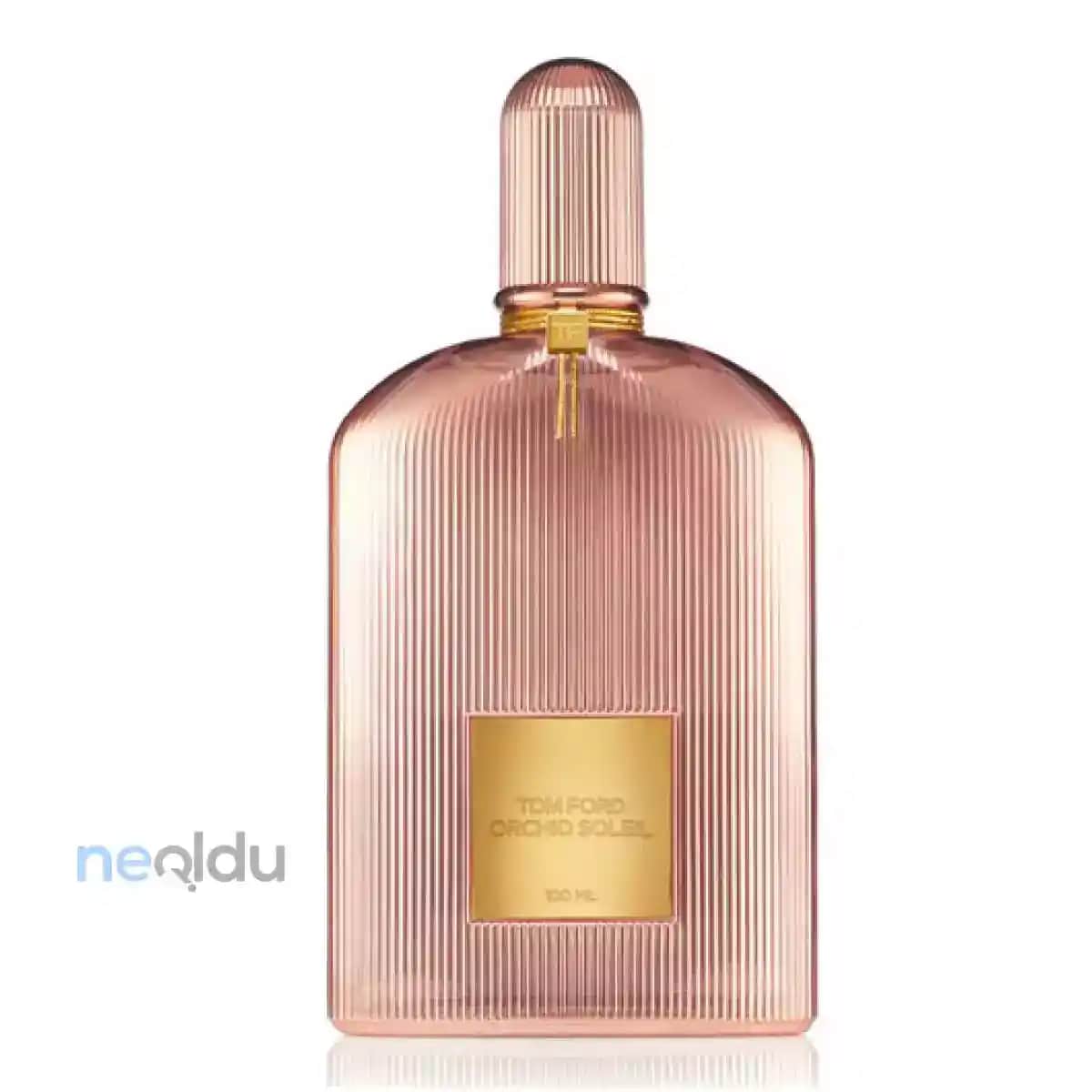 2024 Kadın Parfüm Markaları ve Trendleri: Kendinize Uygun Seçenekler Rehberi