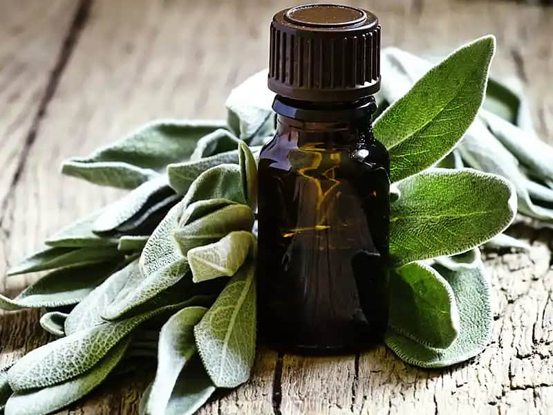 Adaçayı Yağı ve Saç Bakımında Sağladığı Faydalar Hakkında Detaylı Bilgi