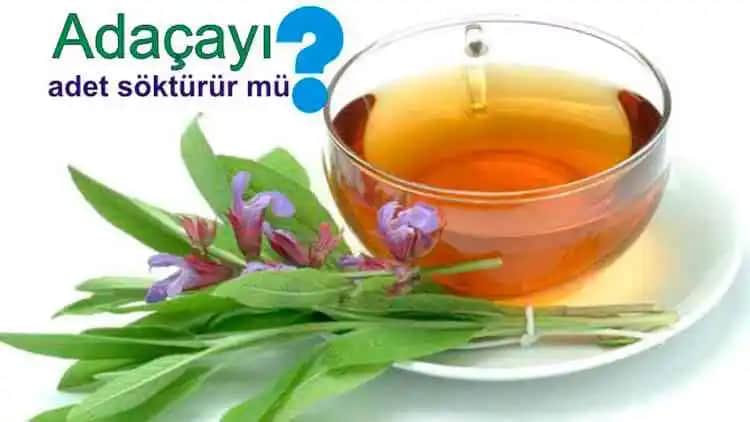 Adaçayının Regl Ağrısına ve Kozmetik Uygulamalardaki Etkileri