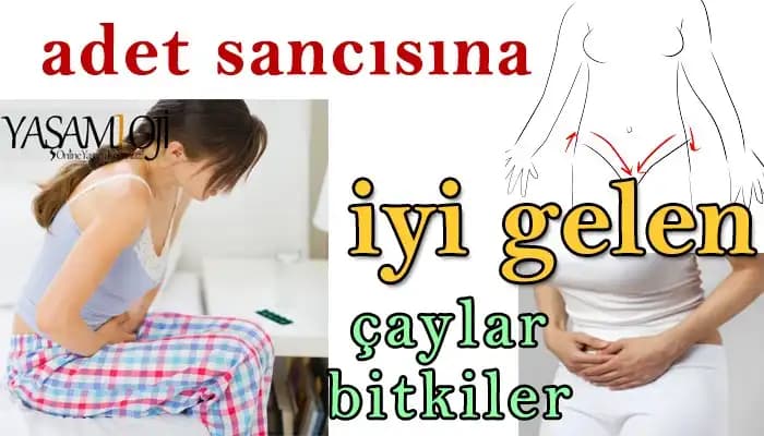 Adet Ağrısına İyi Gelen Doğal Çaylar ve Rahatlatıcı Bitkisel Çözümler