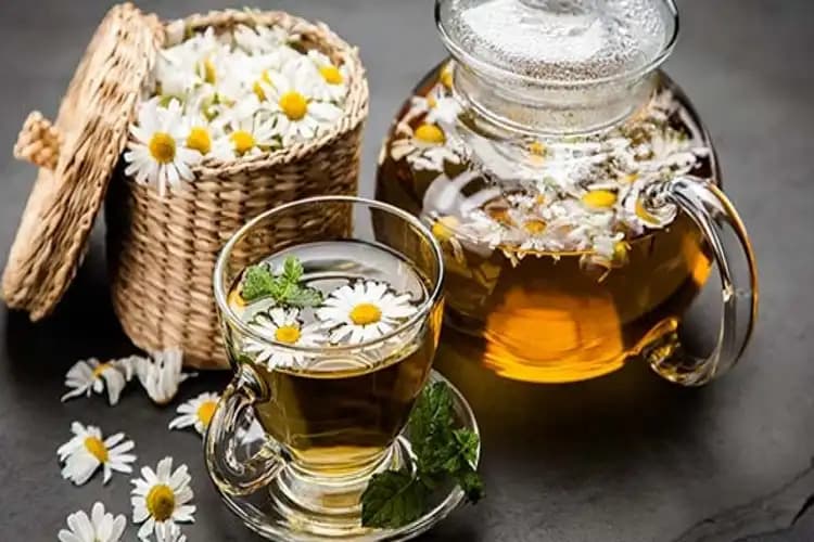 Adet Döneminde Papatya Çayı İçmek Güvenli mi? Bilinmesi Gerekenler ve Dikkat Edilmesi Gerekenler