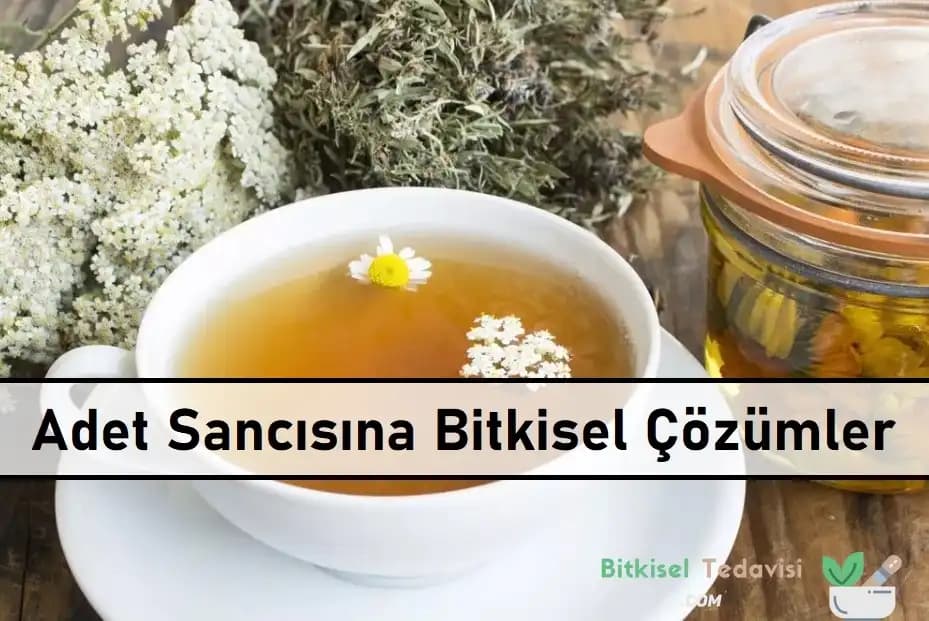 Adet Sancısına İyi Gelen Bitkiler ve Doğal Rahatlatıcı Kullanım Rehberi