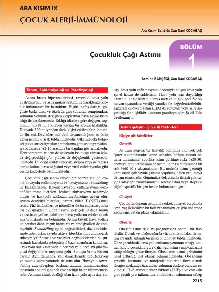 Alerji Yapmayan Pedler: Hassas Ciltler İçin Güvenli ve Konforlu Seçenekler