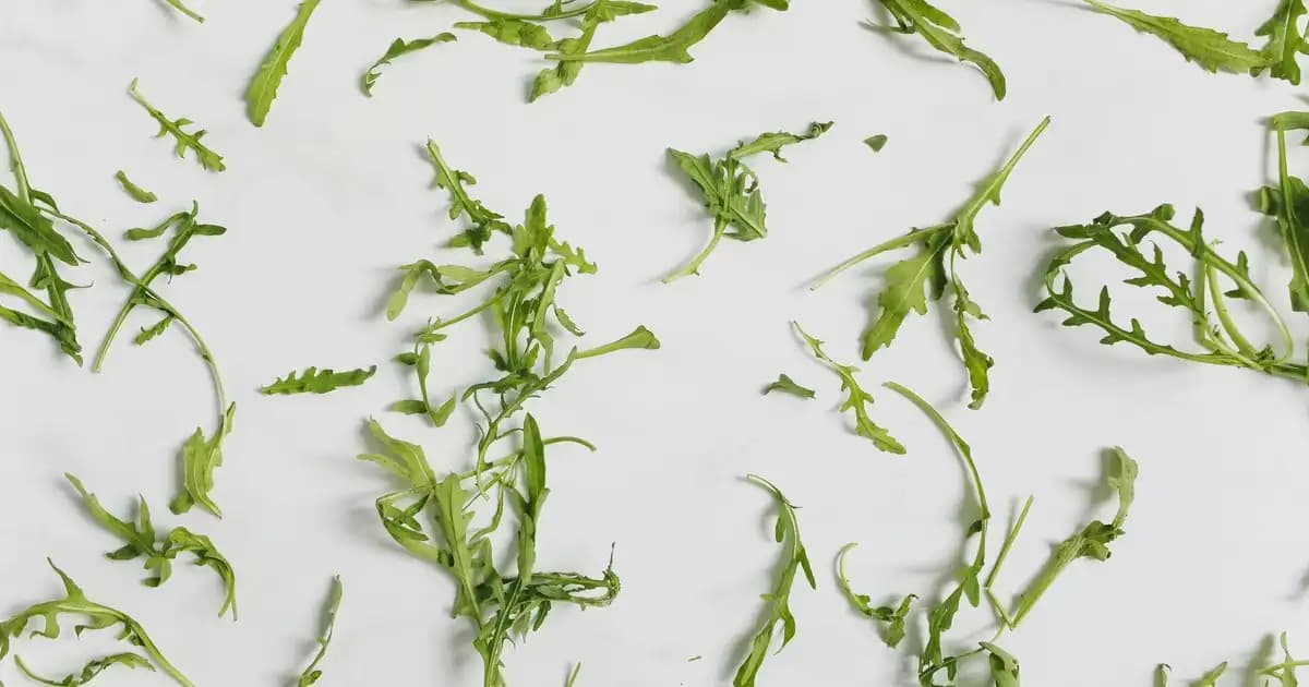 Alfalino Omega 3 ve Kozmetik Sektöründeki Yeni Trendler Hakkında Detaylı Bilgi