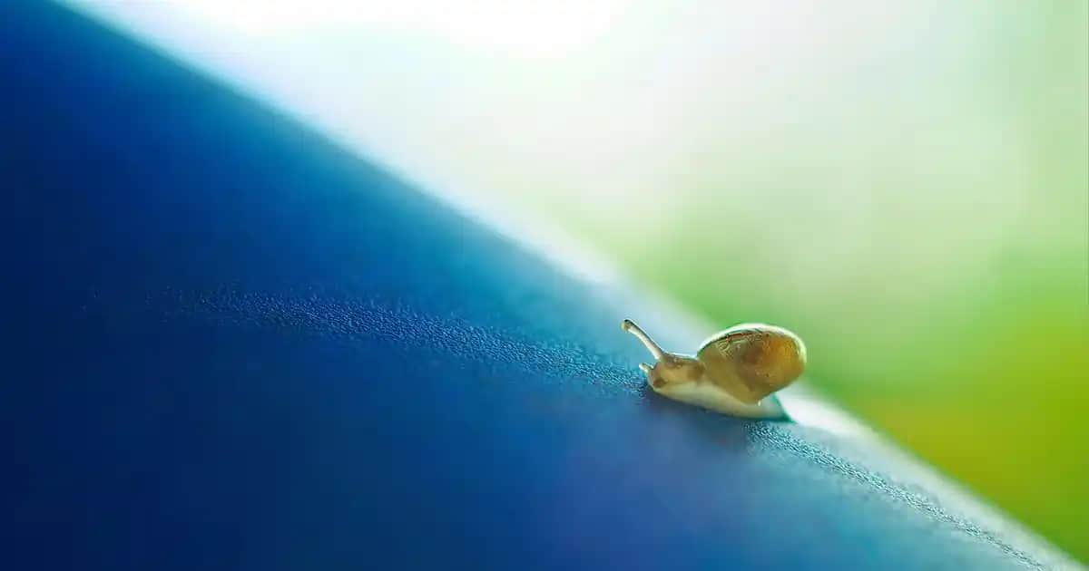 Antibakteriyel Mendillerin Önemi ve Doğru Kullanımı Hakkında Kapsamlı Bilgi