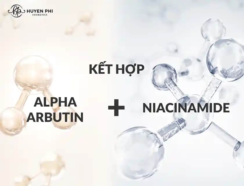 Arbutin mi, Niacinamide mi? Cilt Bakımında Doğru Seçim Rehberi