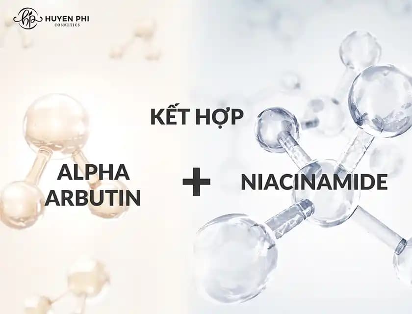 Arbutin mi, Niacinamide mi? Cilt Bakımında Doğru Seçim Rehberi
