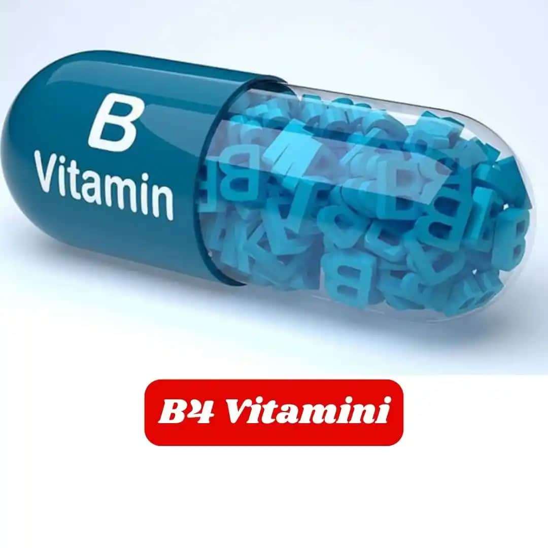 B4 Vitamini Nedir ve Cilt Sağlığını Destekleyen Rolü Hakkında Bilgiler
