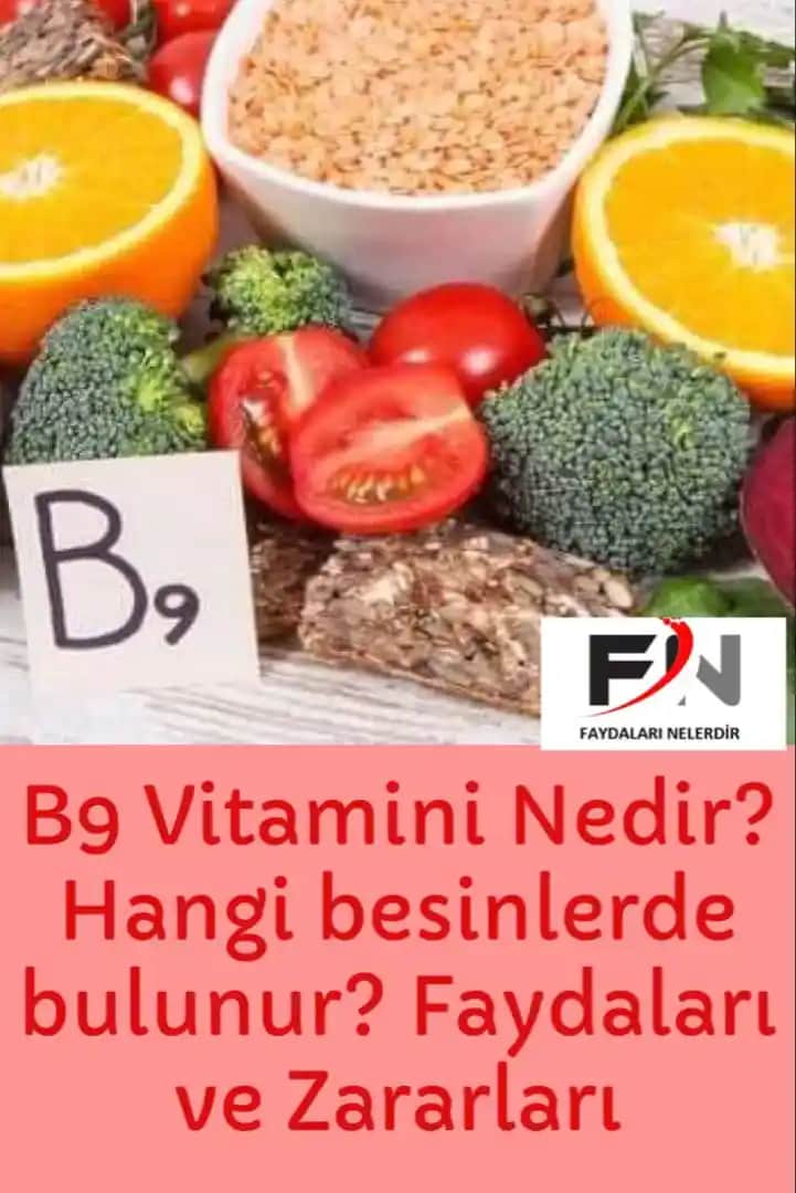 B9 Vitamini ve Saç Sağlığı: Parlak ve Güçlü Saçlar İçin Temel Destek Kaynağı