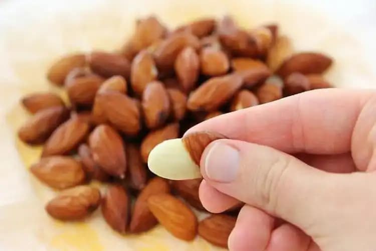 Badem ve Sivilce İlişkisi: Cilt Bakımında Doğru Bilgi ve Uygulamalar