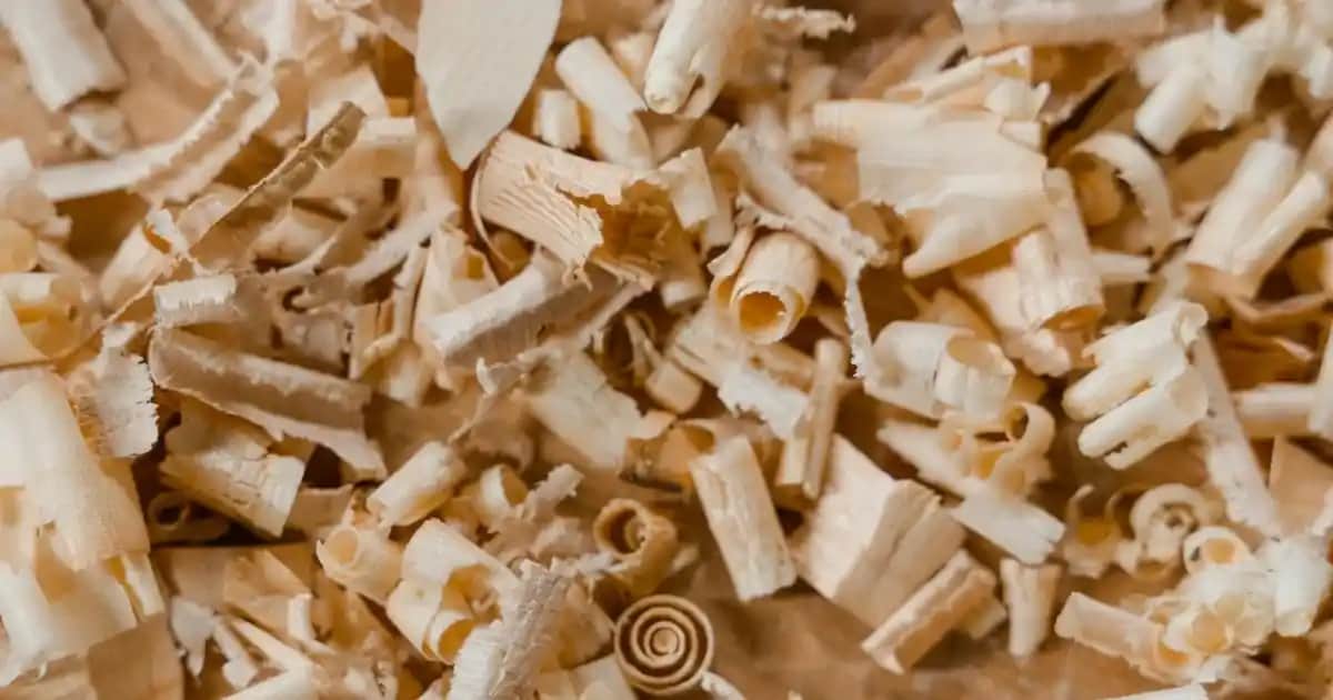 Banyo Filesi Kullanımı ve Bakımı: Kozmetik ve Hijyen İçin Temel Rehber