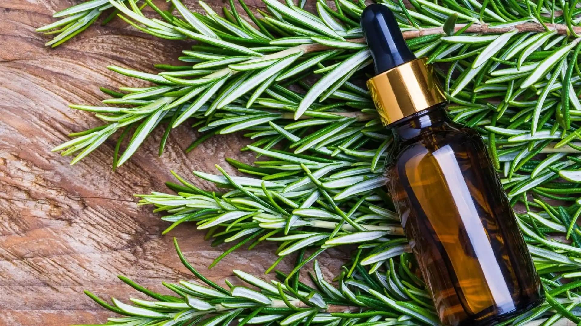 Bebek Yağı Saç Bakımında Kullanımı ve Doğal Saç Bakımında Etkileri