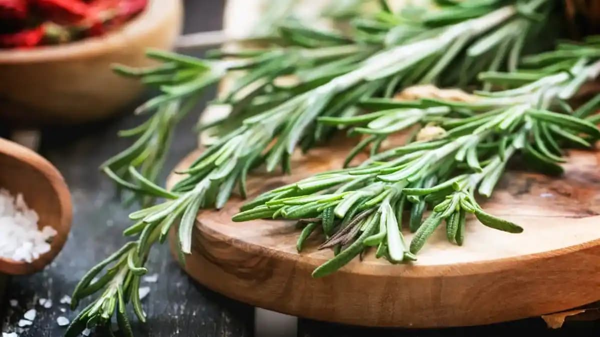 Biberiye ile Saç Sağlığı ve Doğal Bakım Yöntemleri Hakkında Detaylı Rehber