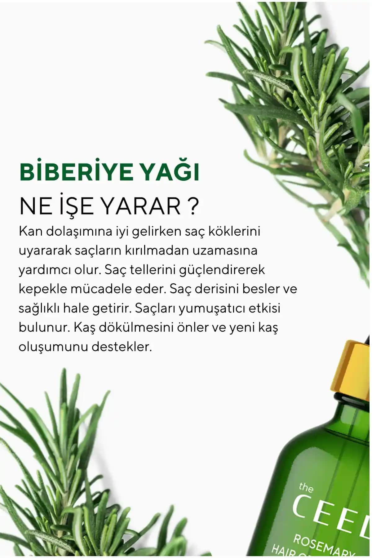 Biberiye Yağı ile Saç Sağlığını Destekleyen Doğal Yöntemler ve Kullanım Tavsiyeleri