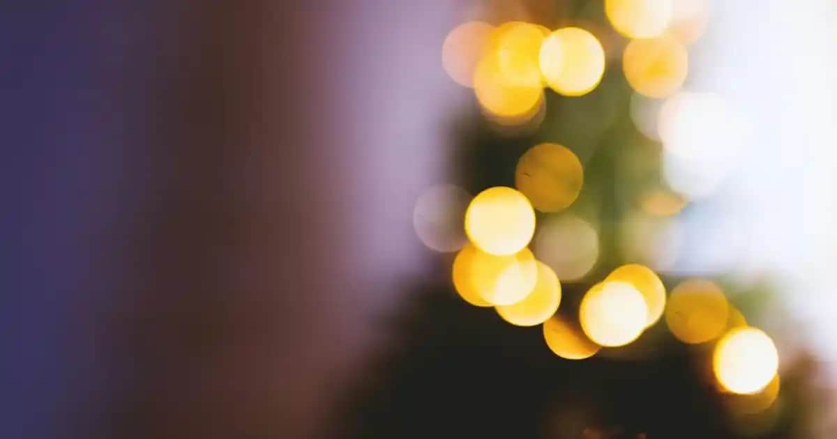 Boya Akıtıcı Gratis: Kalite ve Güvenlik Standartlarına Uygun Çözüm