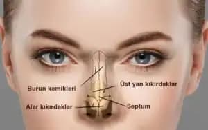Burun İçi Kuruluğu Nedenleri Belirtileri ve Etkili Çözüm Yolları