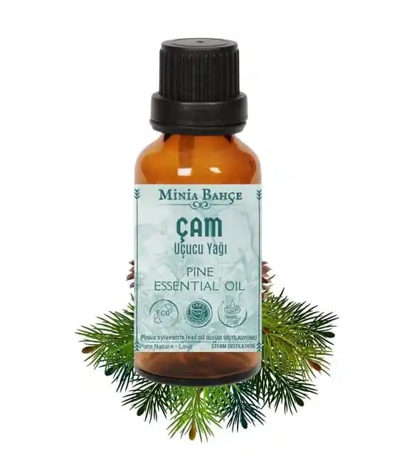 Çam Ağacı Yağı: Doğal Güzellik ve Bakımın Sırları Hakkında Kapsamlı Bilgi ve Kullanım İpuçları