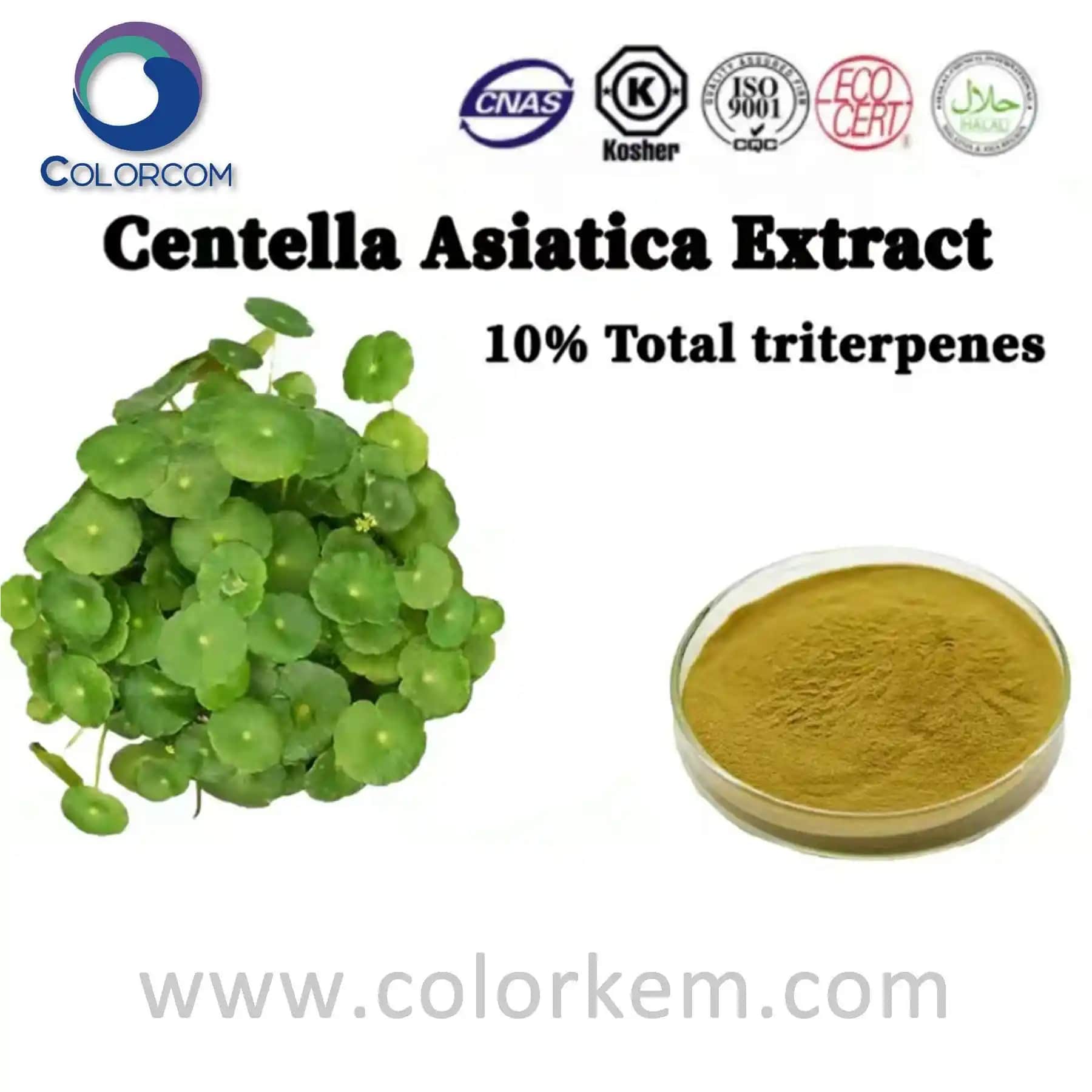 Centella Asiatica Ekstraktının Güzellik ve Cilt Sağlığı Üzerindeki Etkileri