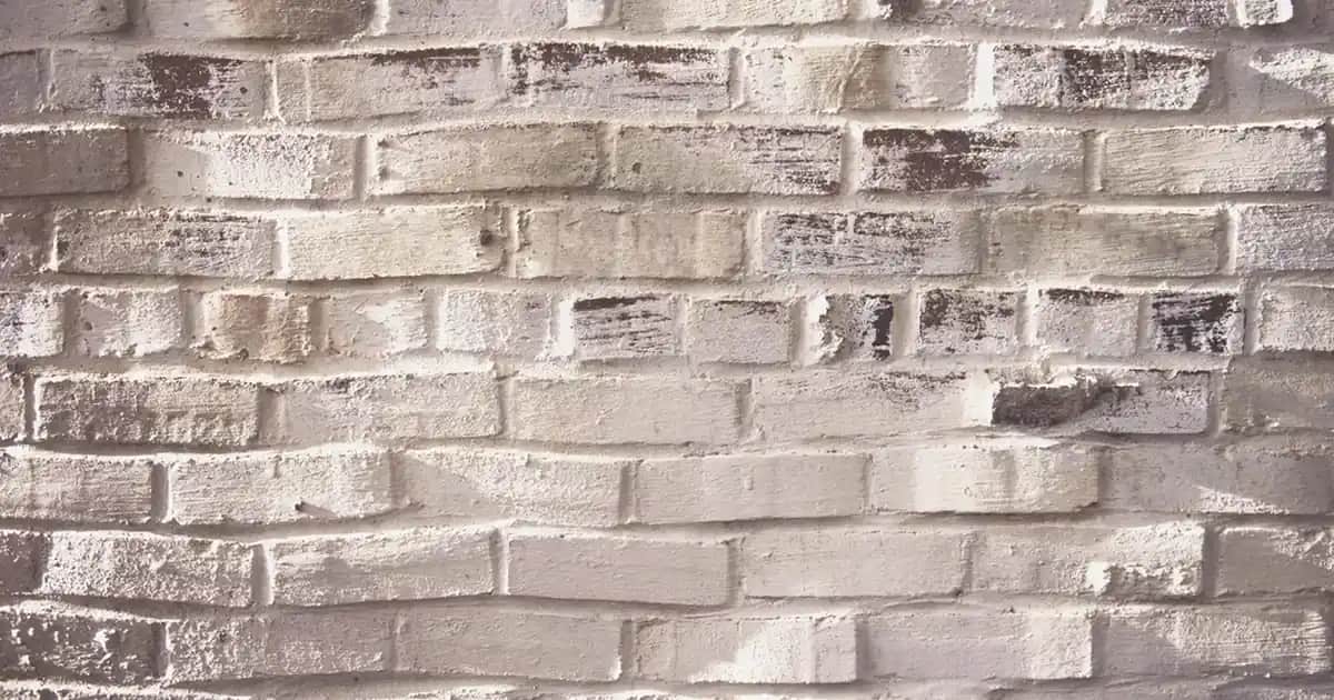Cilt Bakımı Sloganlarının Önemi ve Etkili Kullanım İpuçları