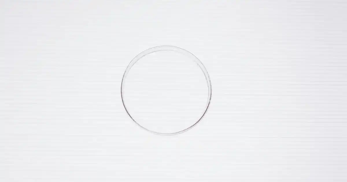 Cilt Temizleyicileri: Türleri, Seçimi ve Doğru Kullanım İpuçlarıyla Sağlıklı Cilt