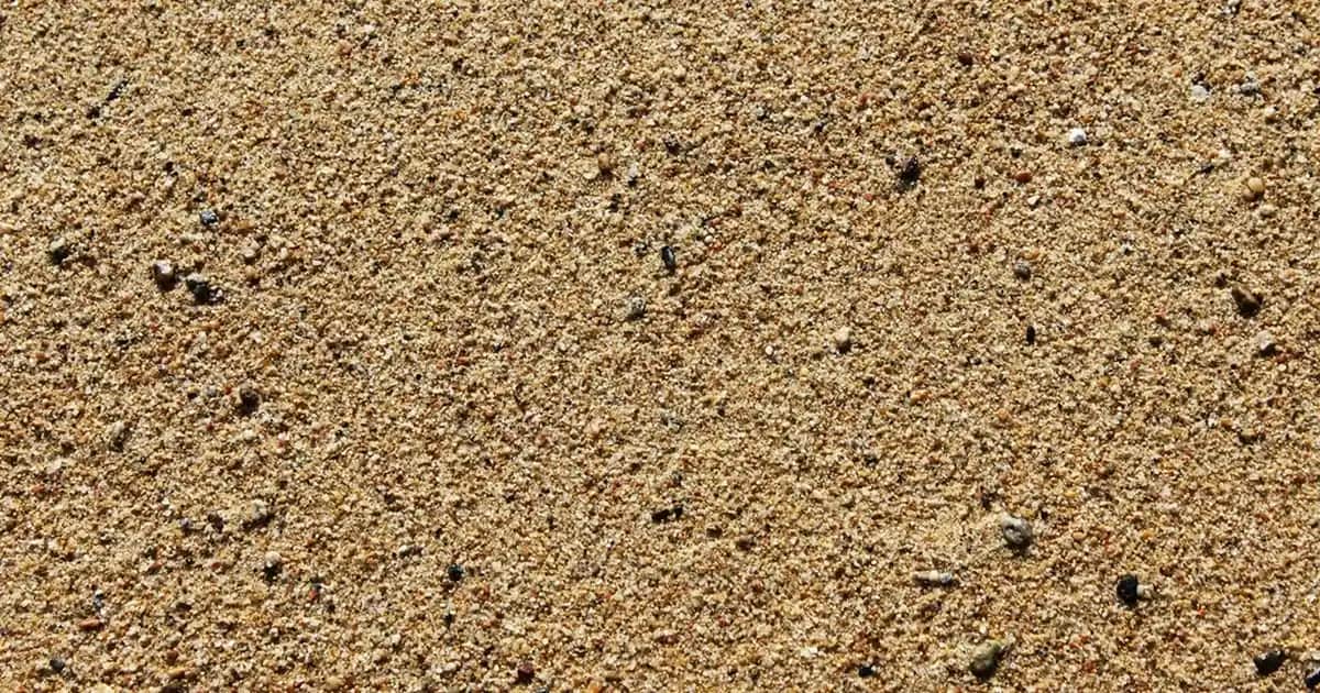 Ciltte Çıkan Yaraların Nedenleri, Türleri ve Koruma Yöntemleri Hakkında Detaylı Bilgi