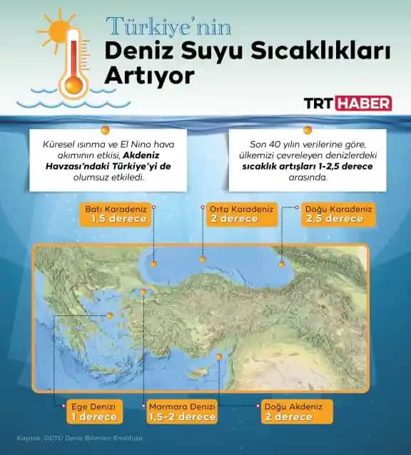 Deniz Suyu ve Sivilce: Cilt Sağlığı İçin Doğal Bir Alternatif Analizi