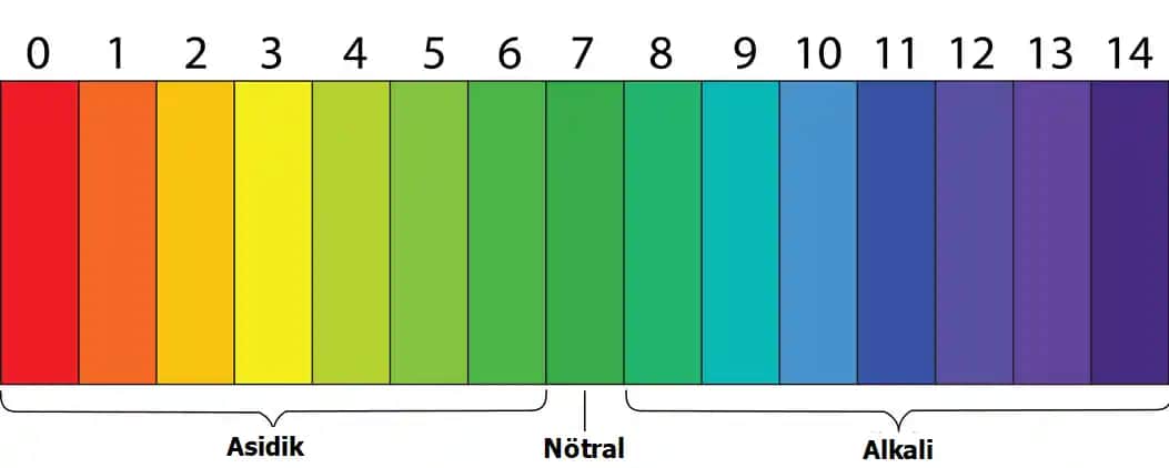 Deri pH Değeri ve Cilt Sağlığı: Doğru Ürün Seçimi ile Sağlıklı Bir Cilt
