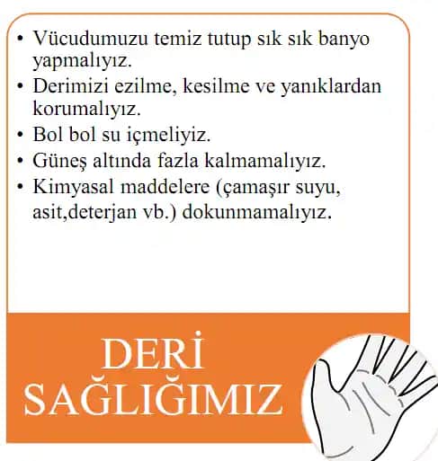 Deri Sağlığını Korumanın Temel Yolları ve Etkili Bakım İpuçları