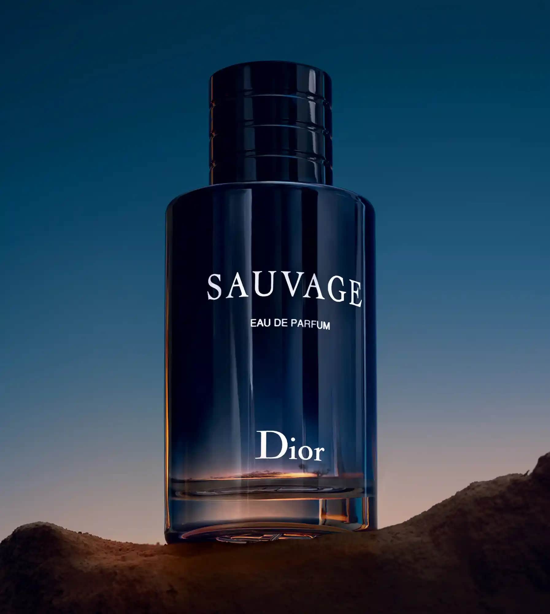 Dior Sauvage: Modern Erkekler İçin Kalıcı ve Çekici Parfüm Seçenekleri