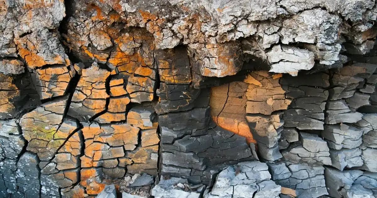 En İyi Yeşil Sabun Markaları ve Doğal Cilt Bakımında Tercihler