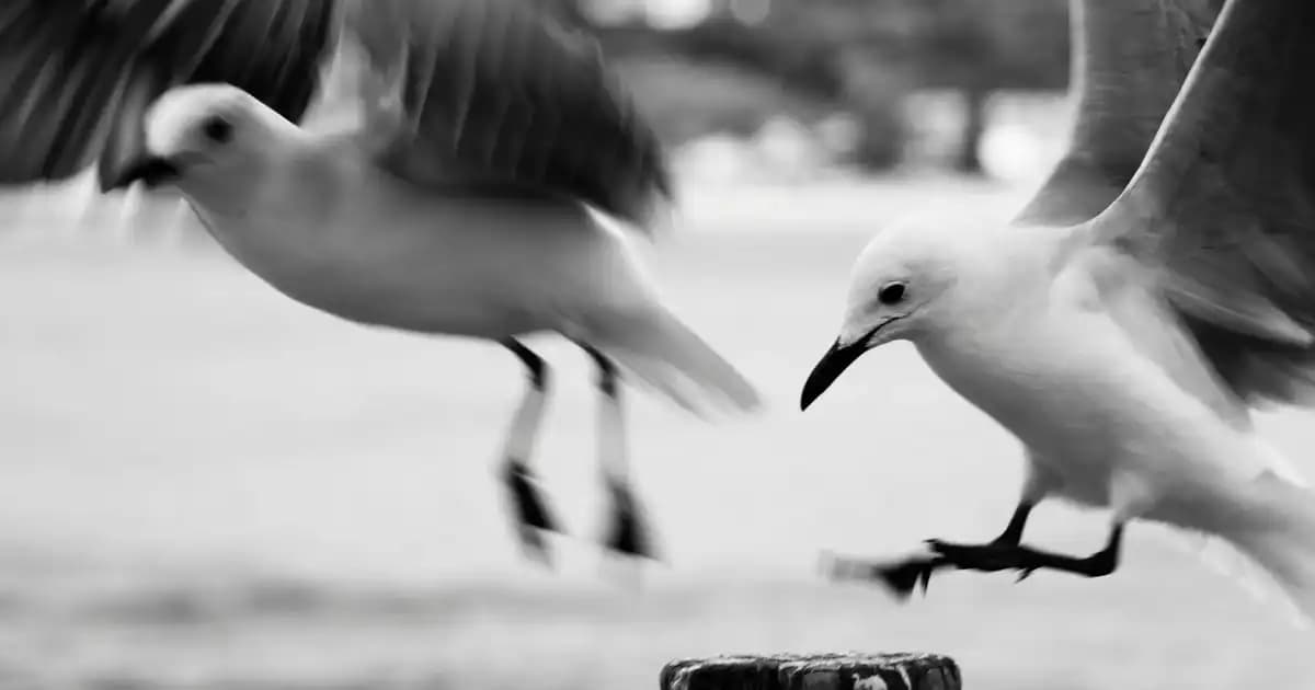 Erkekler İçin Tüm Vücut Epilasyon Fiyatları ve Uygulama Yöntemleri Hakkında Bilgi