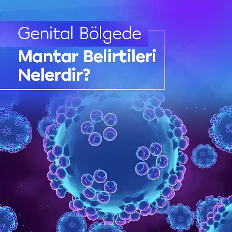 Erkeklerde Genital Mantar Enfeksiyonları: Belirtiler, Tedavi ve Korunma Yöntemleri
