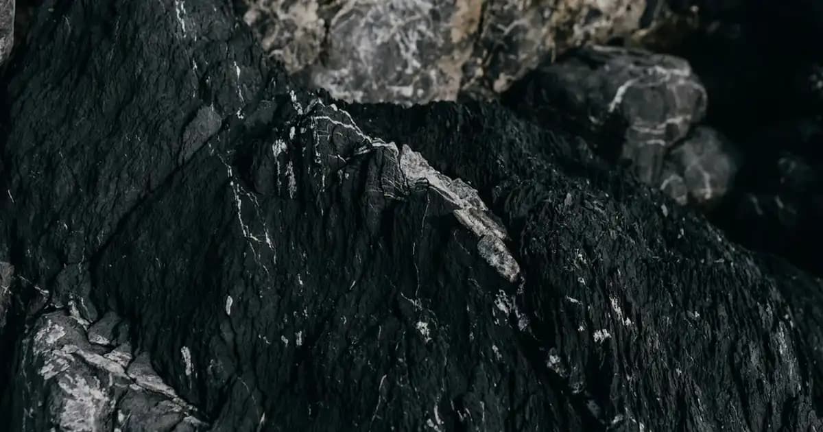 Gebelikte Güvenli Güneş Koruyucu Seçenekleri ve Kullanım İpuçları