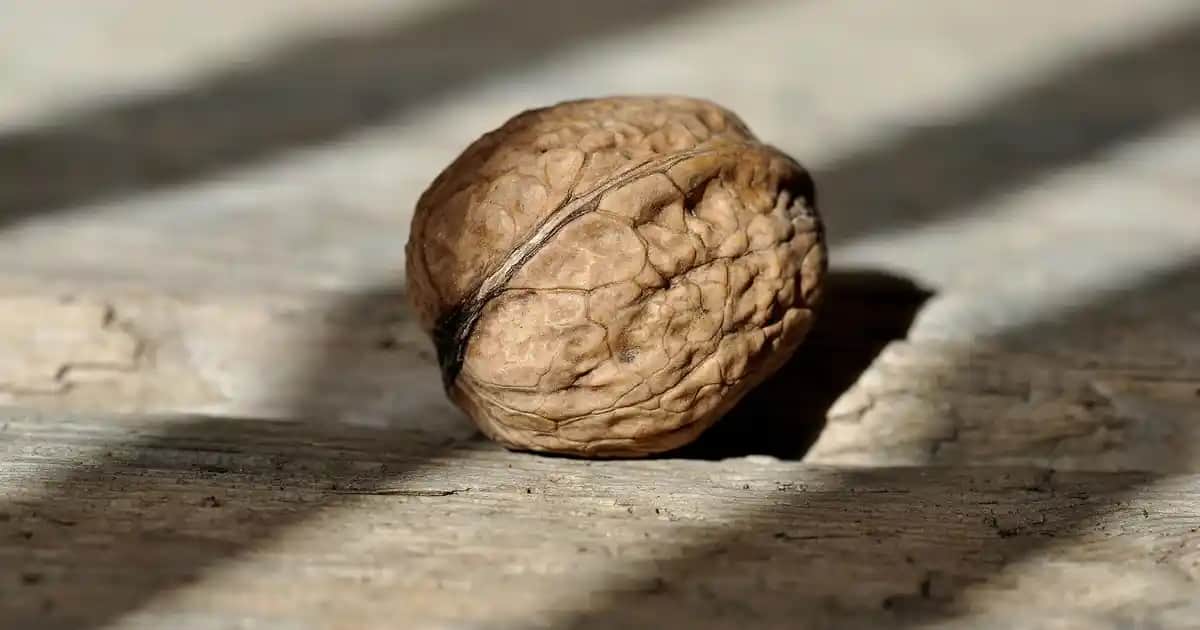 Gratis Nemlendiricilerle Cilt Bakımında Uygun Fiyatlı ve Etkili Çözümler