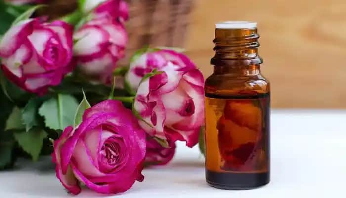 Gül Mayasının Yüze Faydaları ve Doğal Cilt Bakımında Kullanım İpuçları