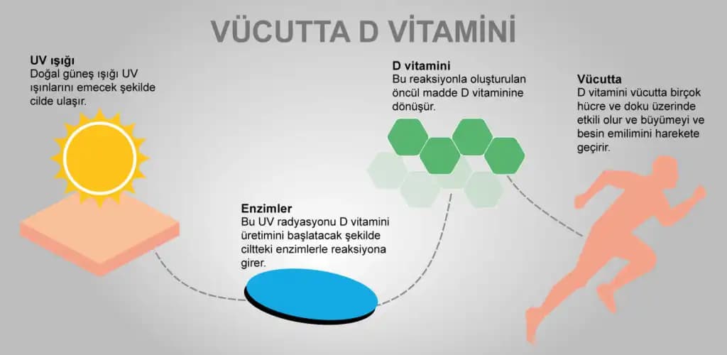 Güneş D Vitamini ve Kozmetik Dünyasında Sağlık ve Güzellik Etkileri