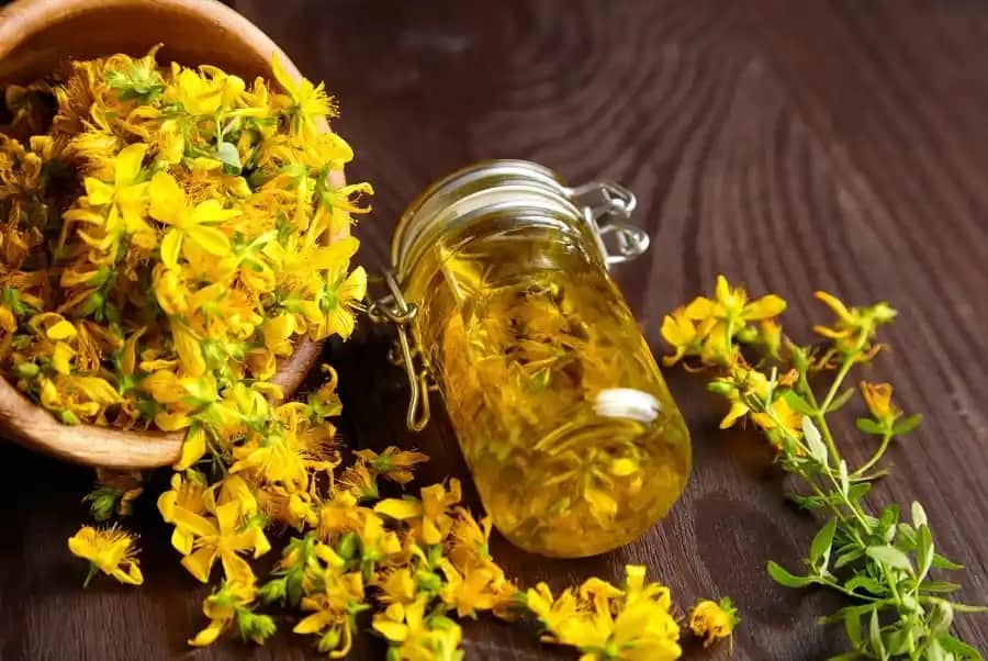 Hamilelikte Kantaron Yağı Kullanımı Güvenliği ve Uzman Tavsiyeleri