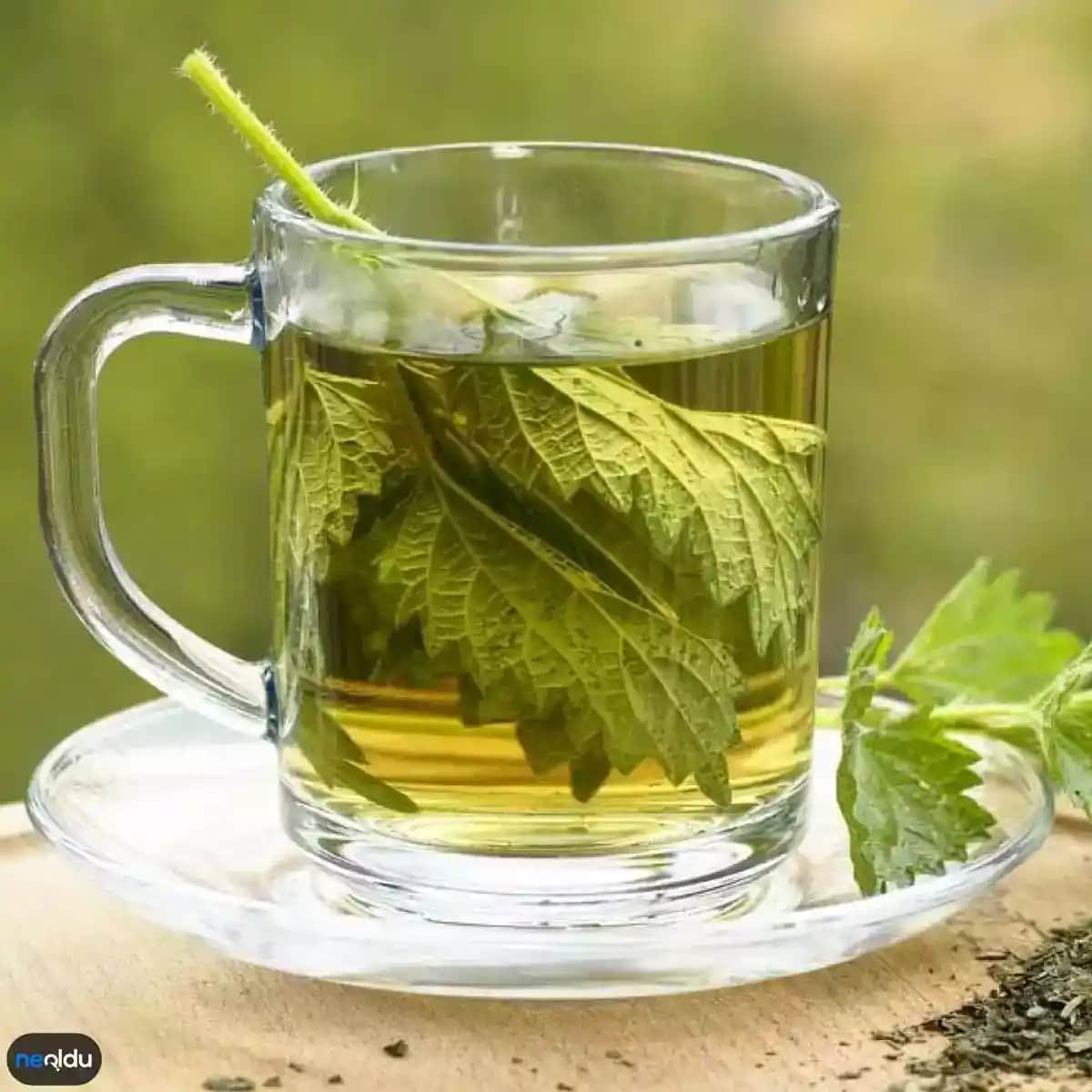 Isırgan Otunun Saç Sağlığına Faydaları ve Doğal Kullanım Yöntemleri