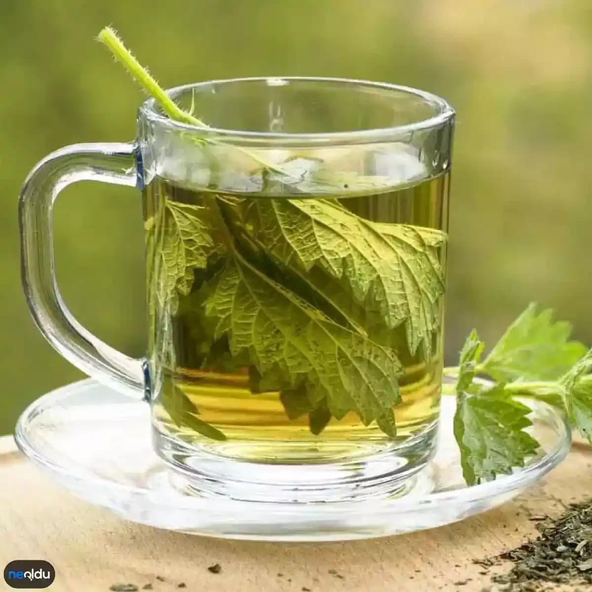 Isırgan Otunun Saç Sağlığına Faydaları ve Doğal Kullanım Yöntemleri