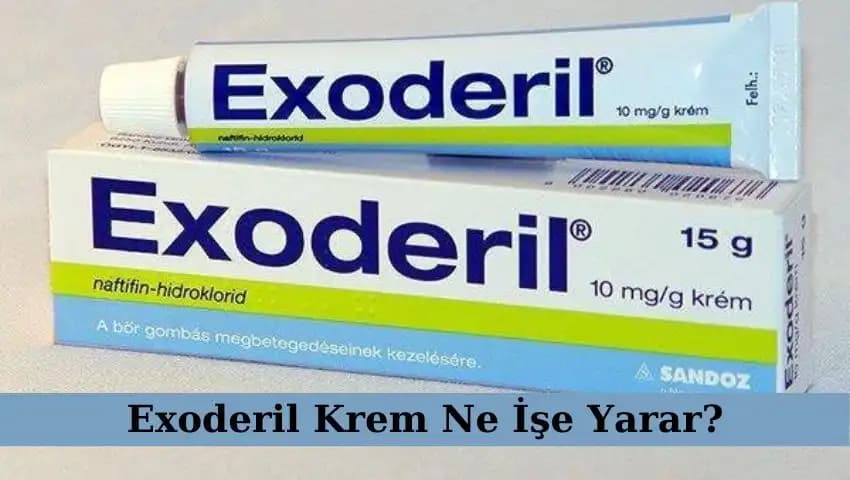 Kasık Mantarı ve Kozmetik Ürünleri: Güvenli Kullanım ve Tedavi Yöntemleri Rehberi