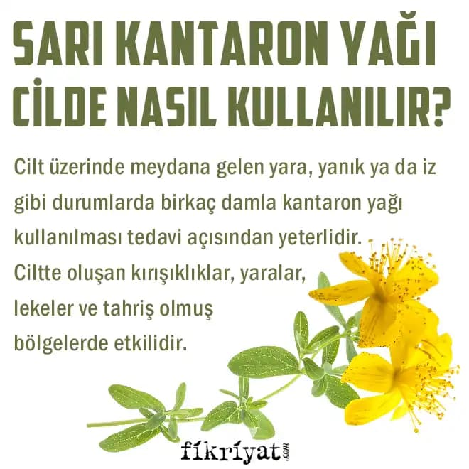 Katran Yağı: Doğal Kozmetik ve Cilt Sağlığı İçin Güçlü Bir Çözüm