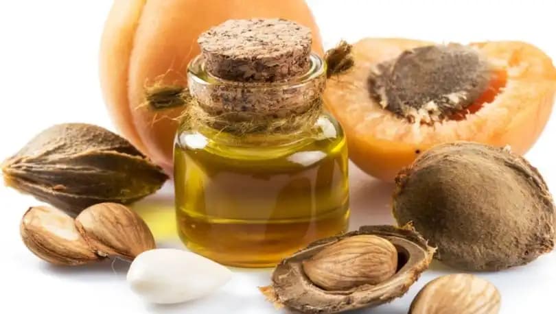 Kayısı Çekirdeği Yağı ile Doğal Cilt Bakımı ve Güzellik Fırsatları