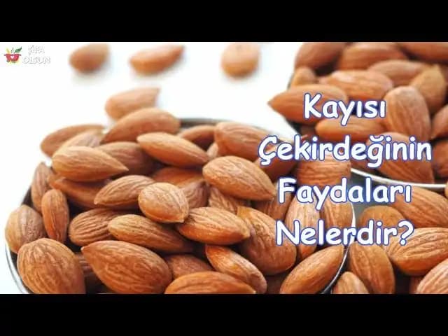 Kayısı Çekirdeği Yağının Kozmetikteki Kullanımı ve Faydaları Hakkında Detaylı Bilgi