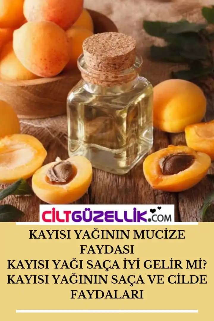 Kayısı Yağının Kozmetik Sektöründeki Yeri ve Faydaları: Doğal Güzellik İçin Temel Bileşen