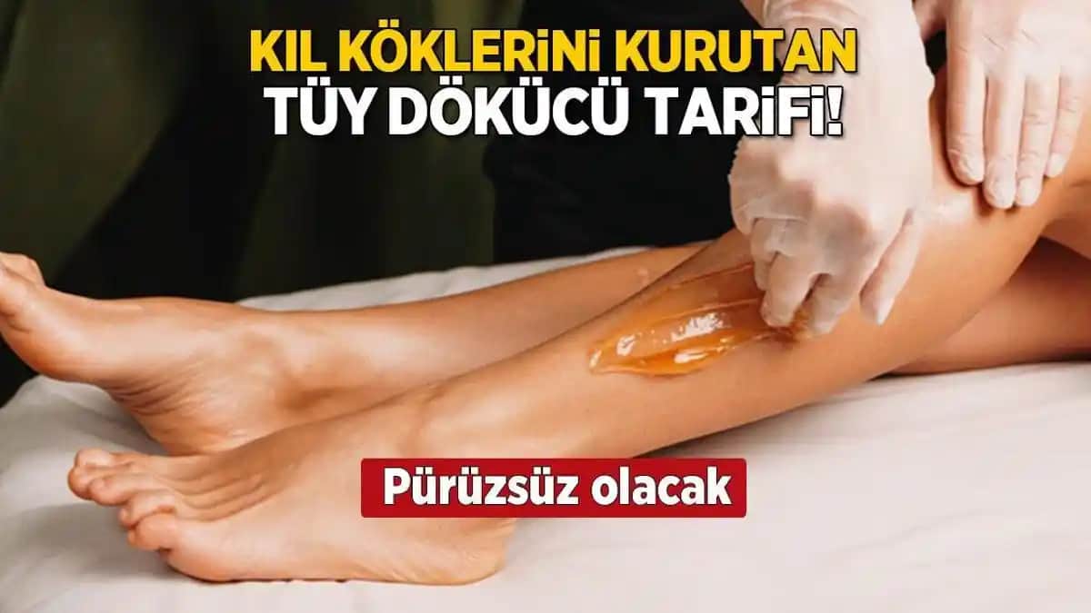 Kıl Köklerini Kurutan En Etkili Bitkisel Yağlar ve Doğal Güzellik Çözümleri