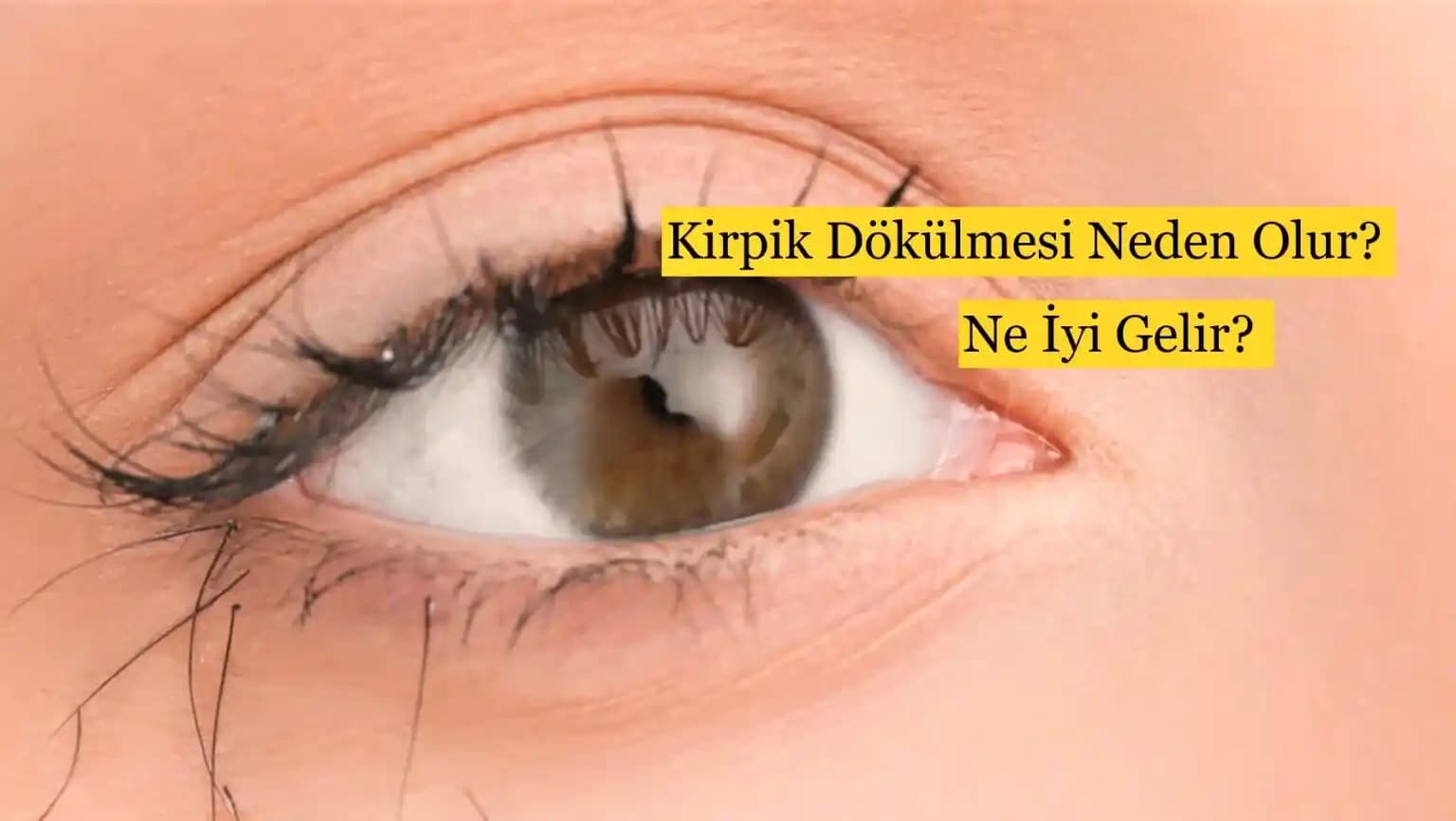 Kirpik Uzamasını Destekleyen Doğal ve Kozmetik Yöntemler İle Uzun ve Sağlıklı Kirpikler