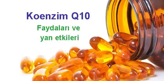 Koenzim Q10 ve Cilt Sağlığı Üzerindeki Etkileri: Yaşlanma Karşıtı ve Koruyucu Faydalar