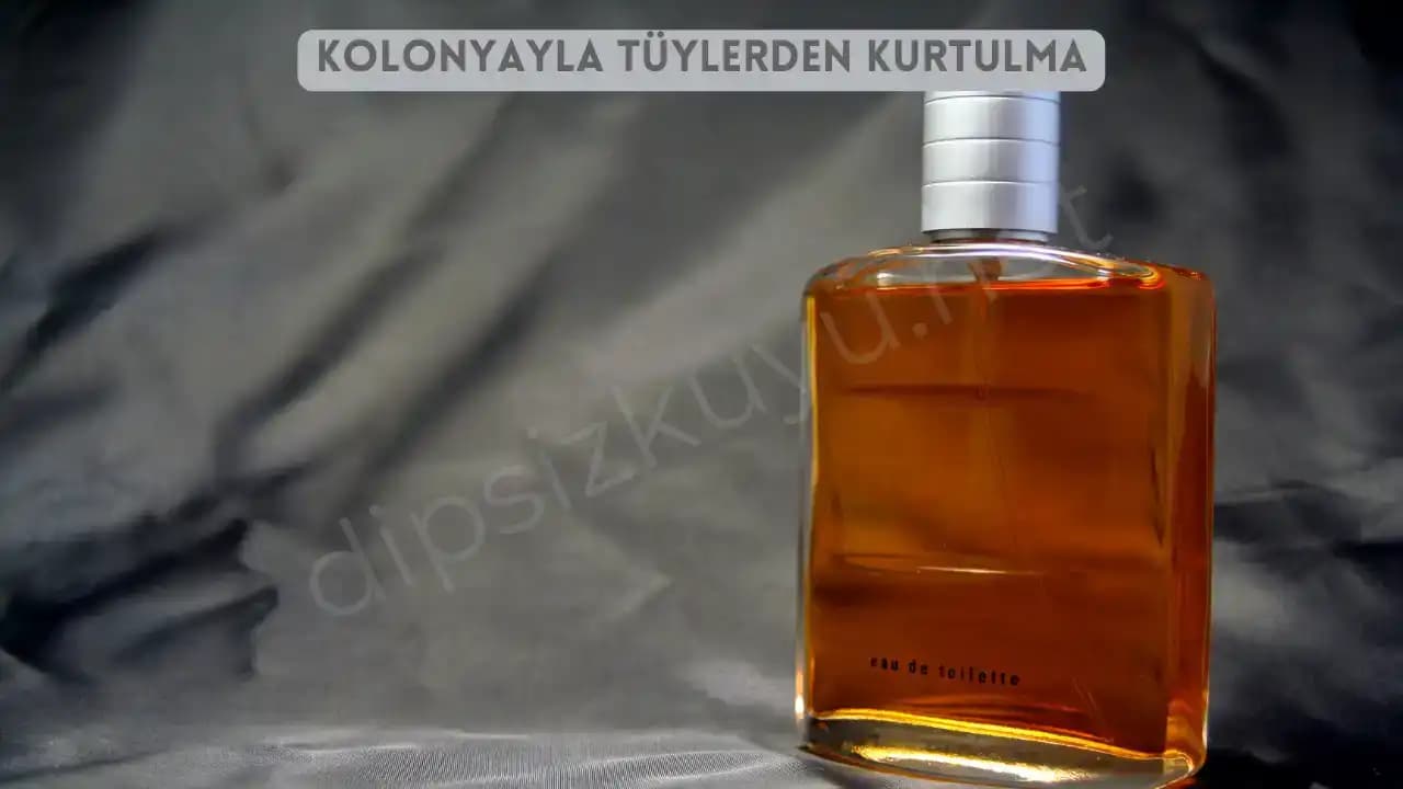 Kolonyayla Tüylerden Kurtulma Yöntemleri ve Güvenlik İpuçları